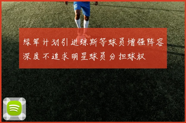 绿军计划引进琼斯等球员增强阵容深度不追求明星球员分担球权