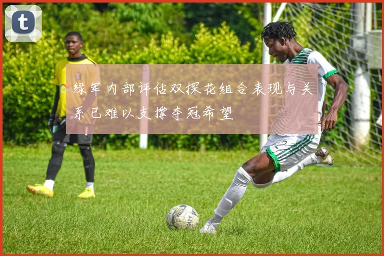 绿军内部评估双探花组合表现与关系已难以支撑夺冠希望